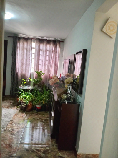 Foto REO1119185