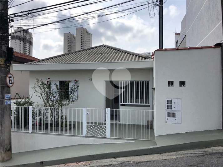 Foto REO1119187