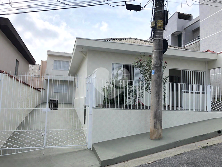 Foto REO1119187