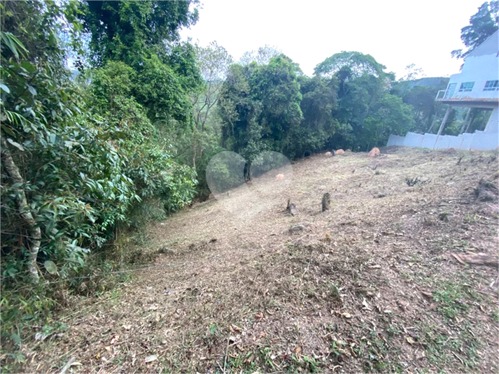 Foto REO1119190