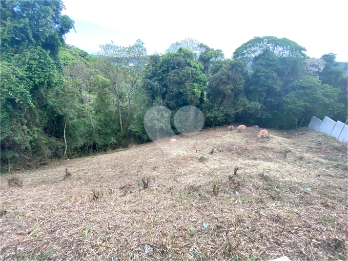 Foto REO1119190