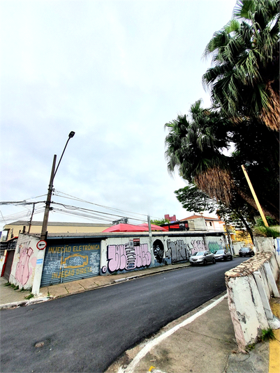 Foto REO1119191