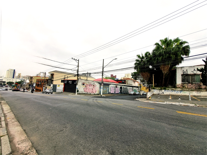 Foto REO1119191