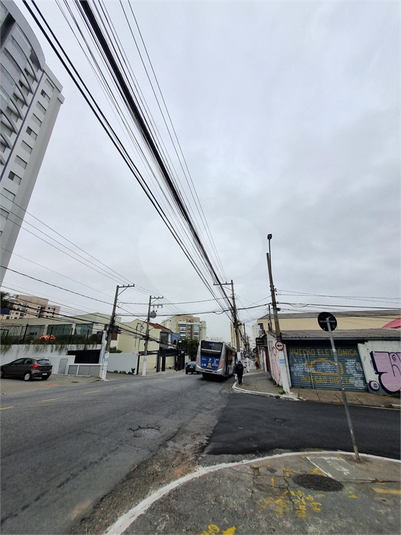 Foto REO1119191