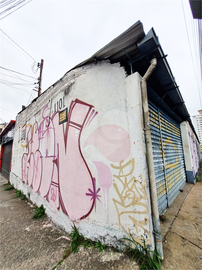 Foto REO1119191