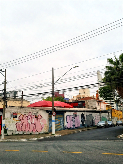 Foto REO1119191