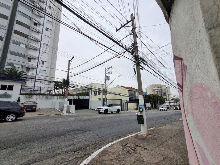 Foto REO1119191