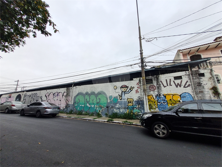 Foto REO1119191