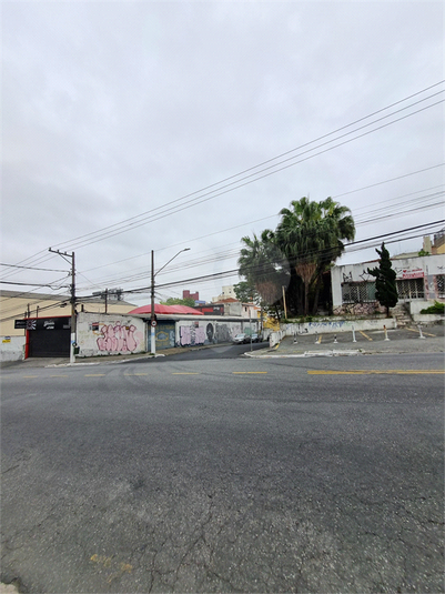 Foto REO1119191