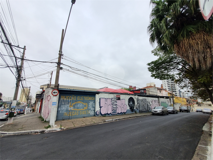 Foto REO1119191