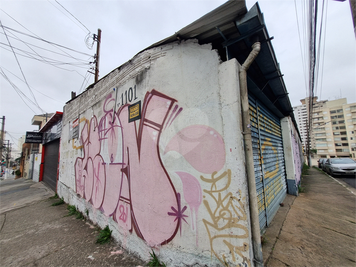 Foto REO1119191