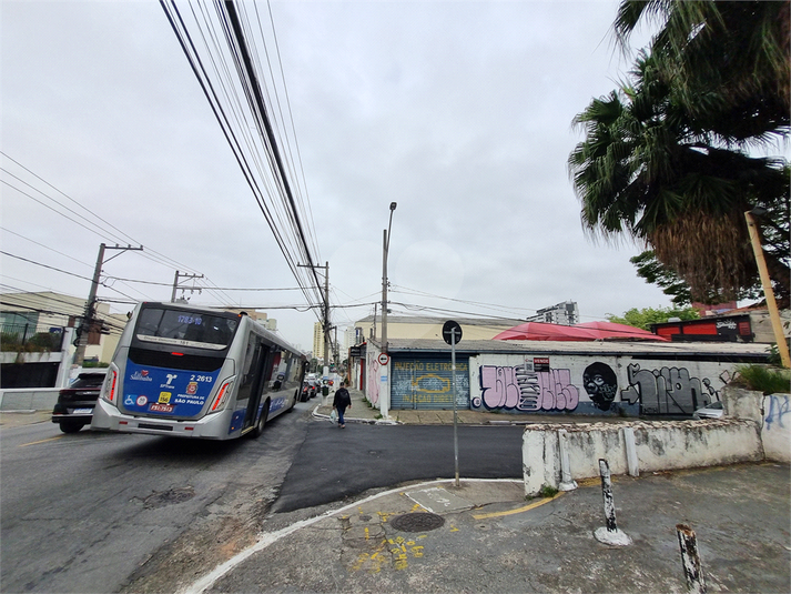 Foto REO1119191