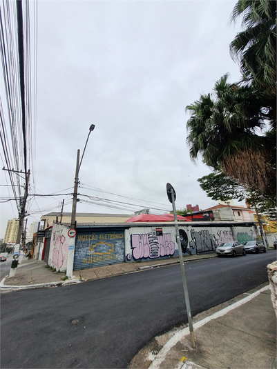 Foto REO1119191
