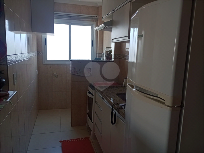 Foto REO1119193