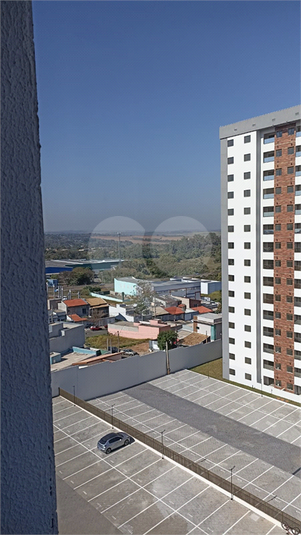 Foto REO1119197