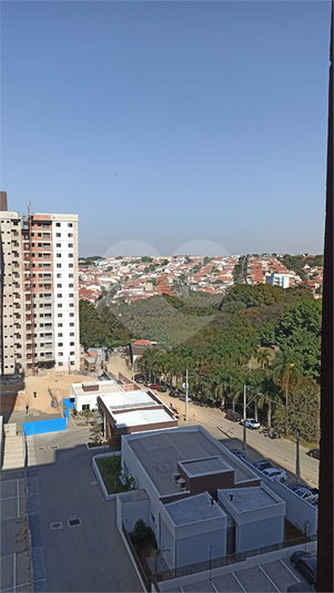 Foto REO1119197