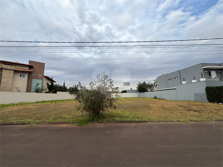 Foto REO1119201