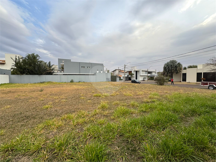 Foto REO1119204