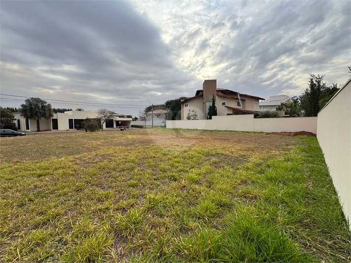 Foto REO1119204