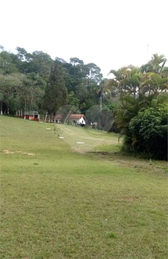 Foto REO1119213