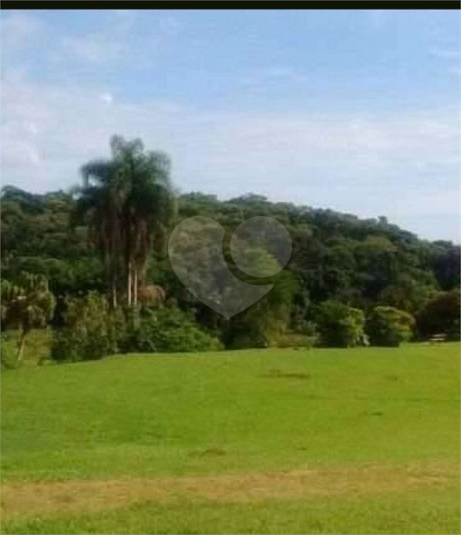 Foto REO1119213