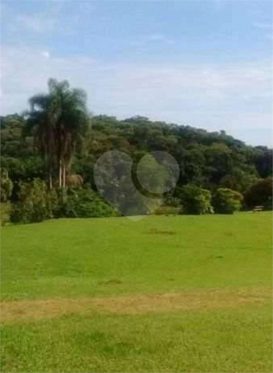 Foto REO1119213