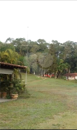 Foto REO1119213