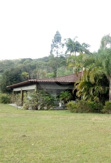 Foto REO1119213
