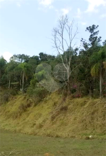 Foto REO1119213