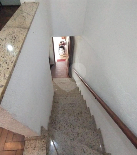 Foto REO1119228