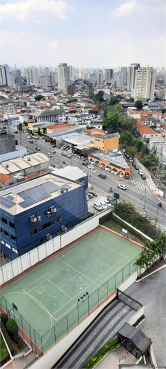 Foto REO1119233