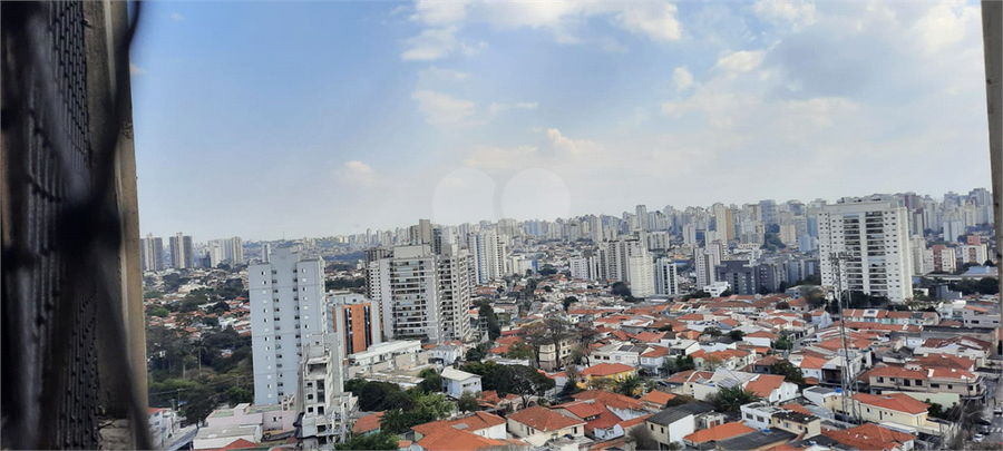 Foto REO1119233