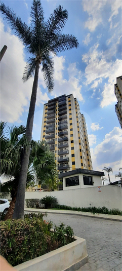 Foto REO1119233