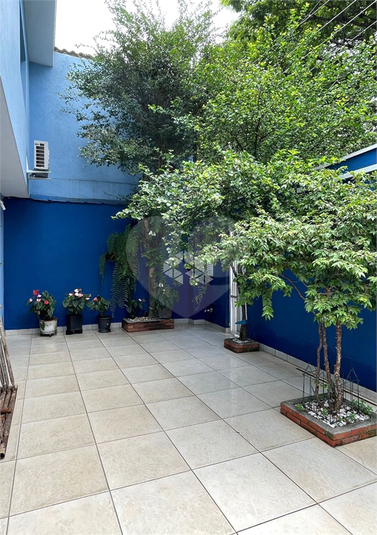 Foto REO1119234