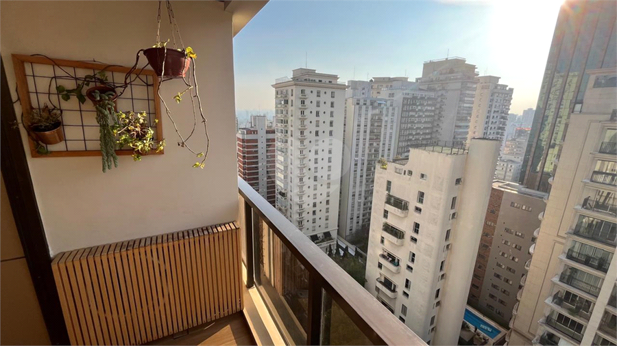 Foto REO1119236