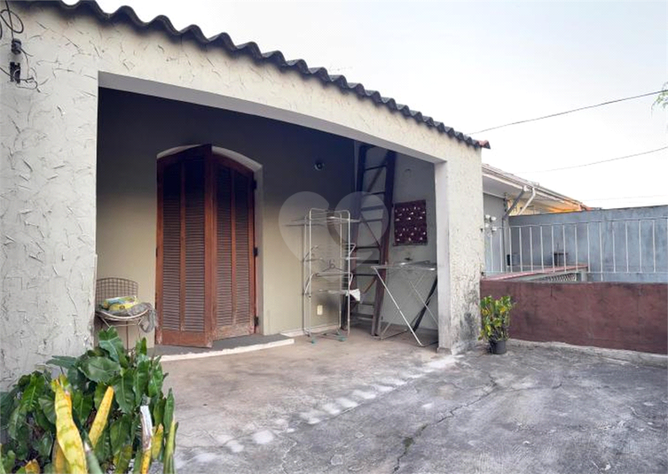 Foto REO1119237