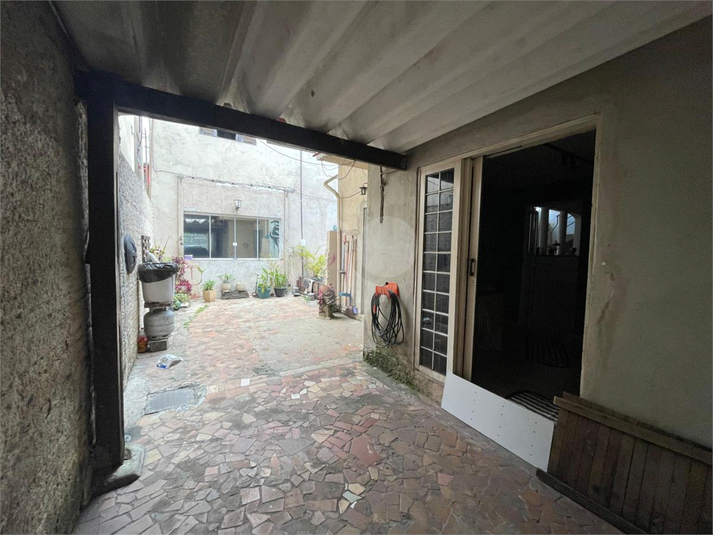 Foto REO1119242