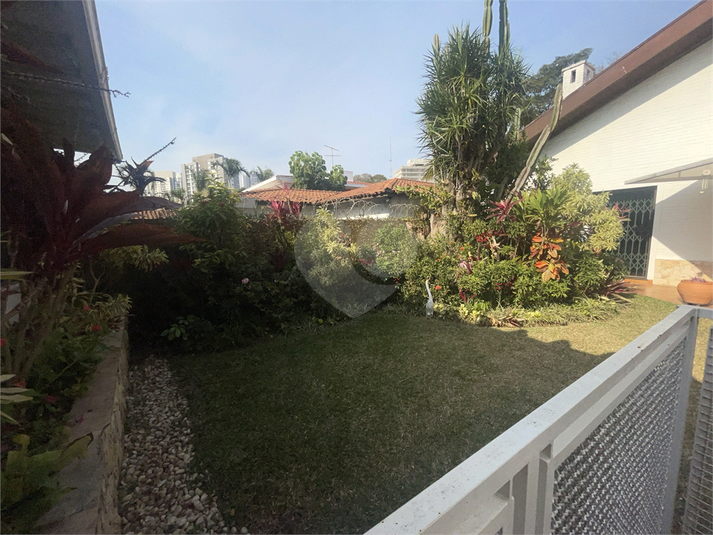 Foto REO1119245