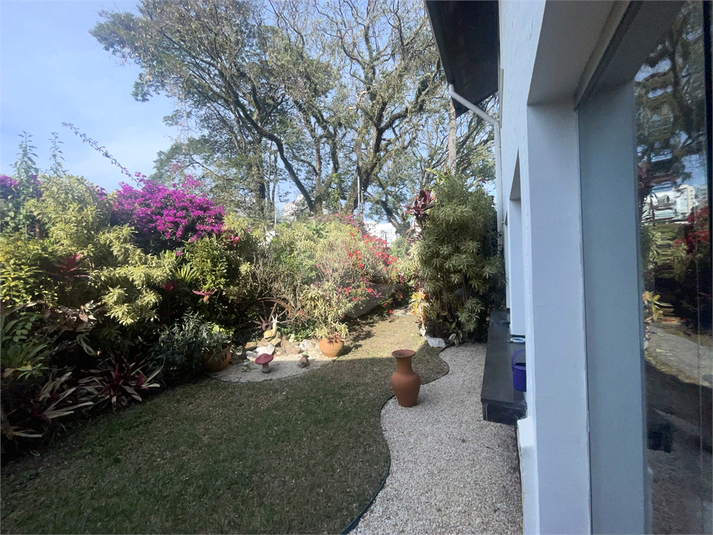 Foto REO1119245