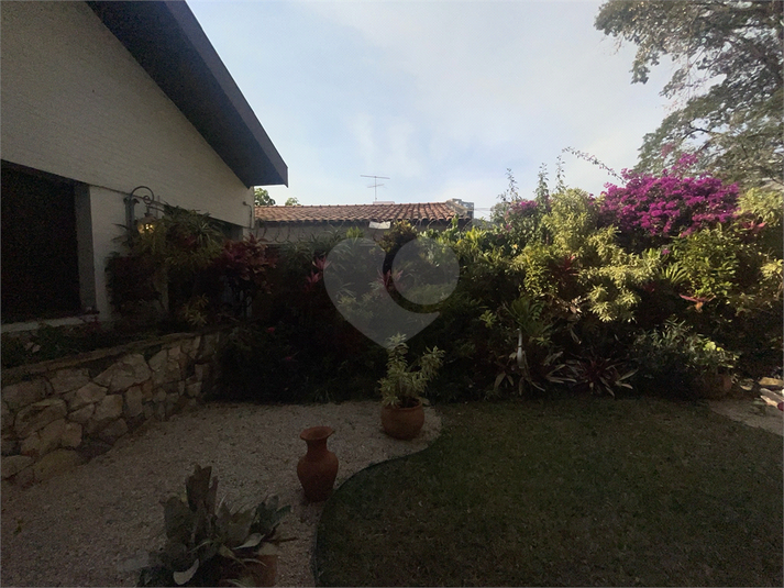 Foto REO1119245