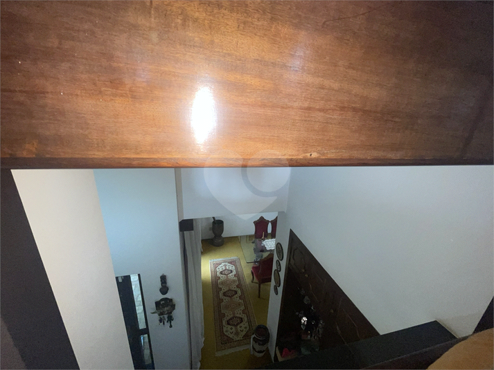 Foto REO1119245