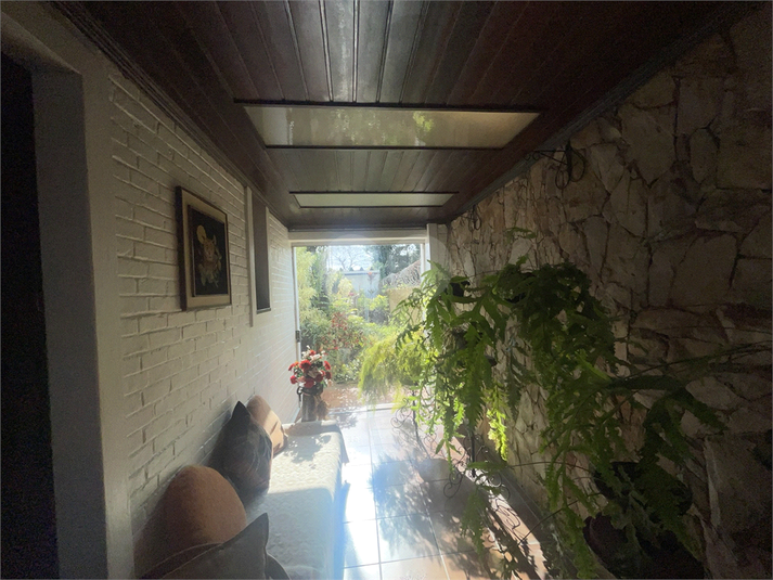 Foto REO1119245