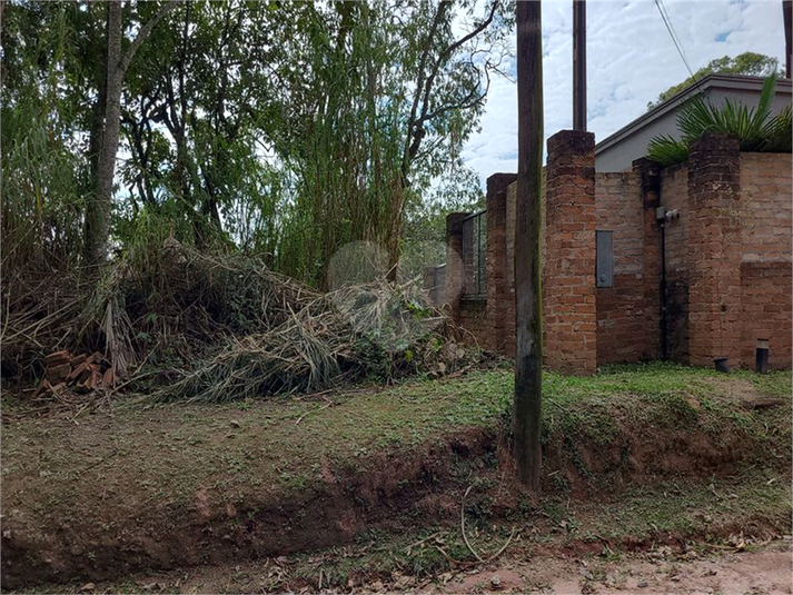 Foto REO1119258