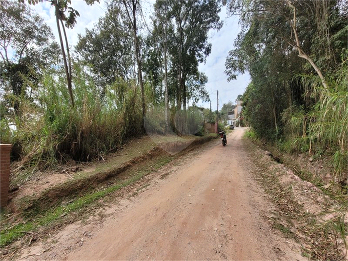 Foto REO1119258