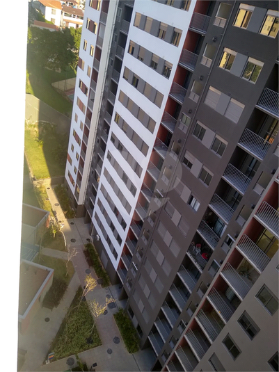 Foto REO1119279