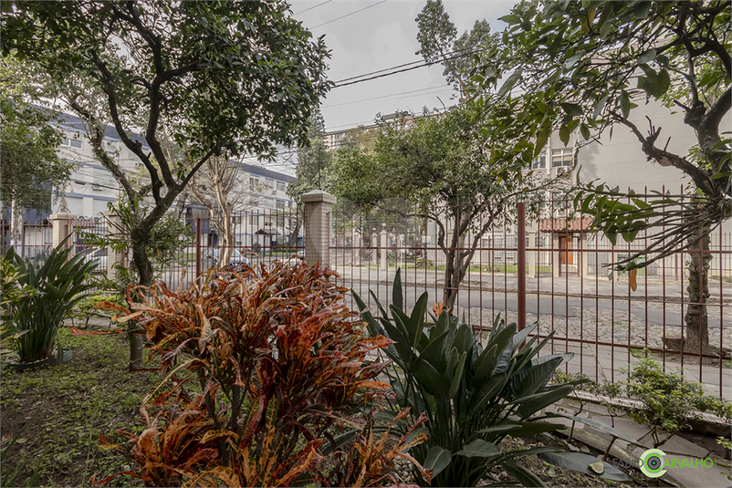 Foto REO1119281
