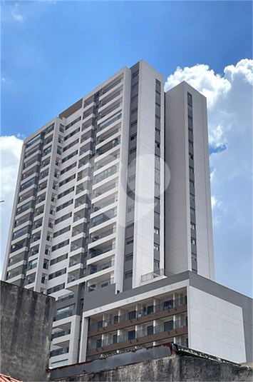 Foto REO1119282