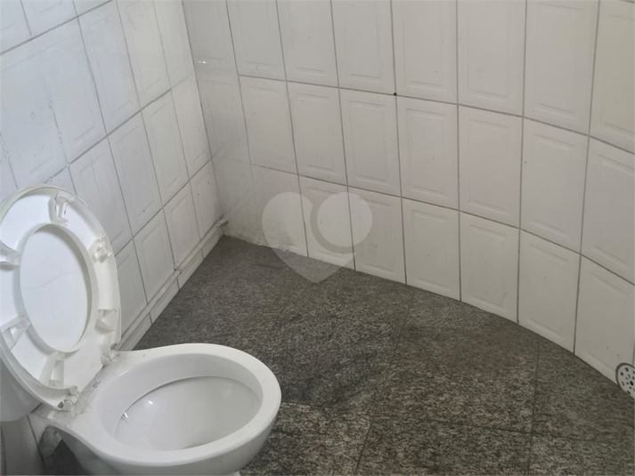 Foto REO1119286