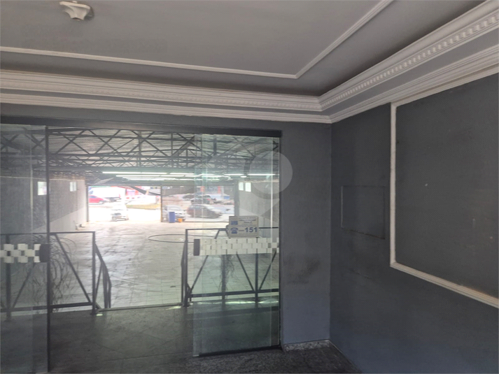 Foto REO1119286