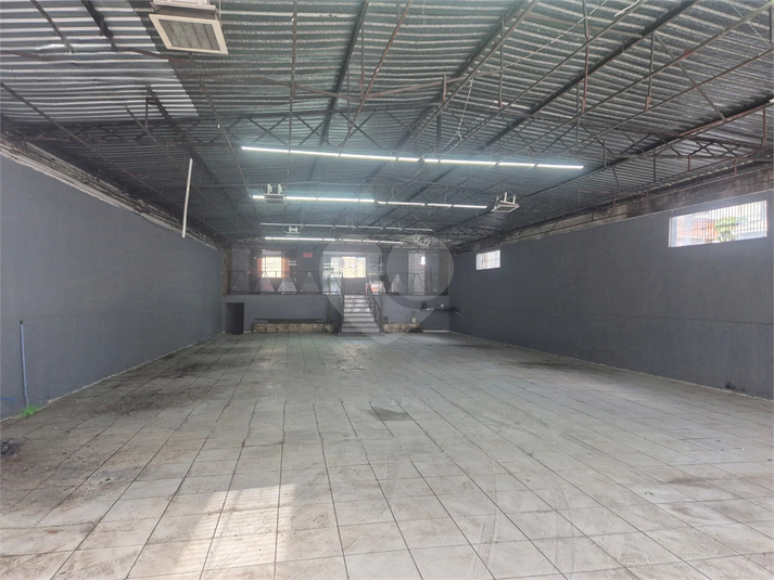Foto REO1119286